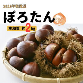 【ふるさと納税】栗 生栗「ぽろたん」約2kg 2026年9月中旬発送 長野県 信州 南信州 高森町 くり クリ 和栗 中平農園【配送不可地域：離島】