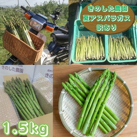 【ふるさと納税】アスパラガス きのした農園の訳あり夏アスパラガス 7月初旬より発送開始 長野県 信州 南信州 高森町 夏の味覚 夏の野菜 やさい ご家庭用【配送不可地域：離島】