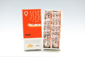 【ふるさと納税】年内発送 贈答用【南信州産】市田柿 個包装化粧箱 大粒10粒入り（28g×10粒 280g） 長野県 信州 高森町 柿 干し柿 かき 高級 和菓子 お茶請け ドライフルーツ 自然食品 ギフト プレゼント お歳暮 JAみなみ信州【配送不可地域：離島】