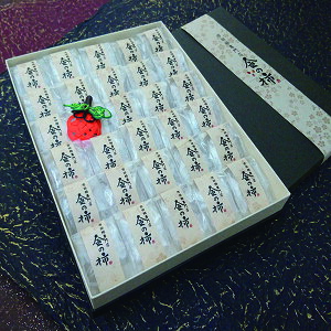 yӂ邳Ɣ[Łzysc`X ̊`zuGiv2LTCY20` 2026N1Jn 쌧 MB MB X ` `   aَq    v[g Mtg 