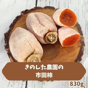 yӂ邳Ɣ[Łẑ_̎sc`830g 2025N12{蔭 쌧 MB MB X ` `   aَq  hCt[c RHi ̂_yzsnF