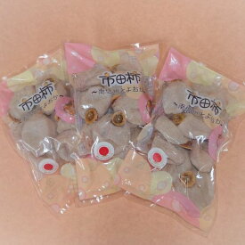 【ふるさと納税】【市田柿専門店　金の柿】市田柿　自家用300g×3袋【配送不可地域：離島】