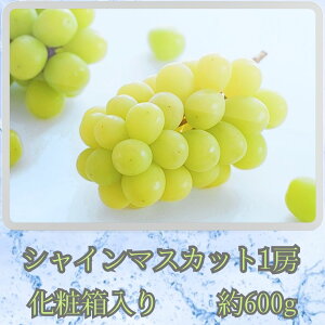 yӂ邳Ɣ[ŁzyMBXYz{̃VC}XJbg1[i600g) 9{蔭 쌧 MB _ƒ ʕ  Ԃǂ {̂Ԃǂ VC ϔ Mtg yzsn