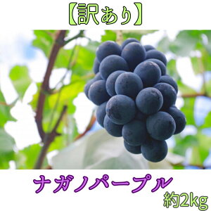 yӂ邳Ɣ[Łz2026Ny󂠂ziKmp[v2kg2026N8{ 쌧 MB MB X _ƒ ʕ  Ԃǂ {̂Ԃǂ p[v ƒp TO[vyz