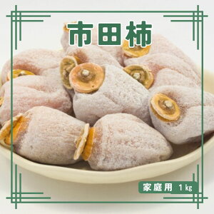 yӂ邳Ɣ[ŁzyʌzN sc` 1kg ƒp 쌧 MB MB X ` `  hCt[c   aَq XC[c RHi L^U_yzsn