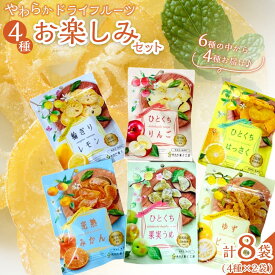 【ふるさと納税】やわらかドライフルーツ（国産原料）中袋 4種×2袋お楽しみセット ｜ フルーツ お菓子 おつまみ 果物 レモン リンゴ はっさく みかん ゆず うめ 国産 長野 信州