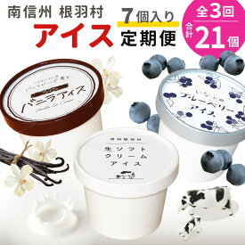 【ふるさと納税】 全3回〈翌月から発送開始〉★3種類のアイス定期便 南信州根羽村産アイス が毎月7個届く！ 合計21個 アイス アイスクリーム 定期便 生ソフトクリームアイス バニラアイス ブルーベリー 果物 ジャム 長野県 根羽村 ソフトクリーム スイーツ 15000円 15,000円