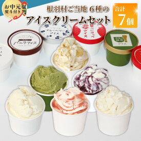 【ふるさと納税】【お中元 熨斗対応】着色料・香料不使用！6種類のアイス 詰め合わせ 7個入り 80ml アイスクリーム ギフト 高級 生ソフト バニラ りんご いちご ブルーベリー 西尾 ミルク アソート 生乳 スイーツ 贈り物 お祝い 長野県 根羽村 ソフトクリーム 5000円