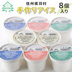  南信州根羽村手作りアイス 4種類のフレーバー8個セット バニラ いちご 抹茶 ブルーベリー アイスクリーム 5000円 5,000円 5千円