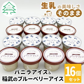 【ふるさと納税】《1週間以内に発送★》マダガスカル産バニラビーンズ香る バニラアイス＆いなぶのブルーベリー 16個入り80ml アイスクリーム バニラ ブルーベリー ソース ソフトクリーム 無農薬 スイーツ 果物 マーブルアイス 濃厚 ミルク 人気 ギフト 5000円