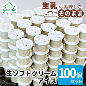 yӂ邳Ɣ[ŁzCxgp[eBɂ\tgN[ACX100 80ml   ~N XC[c ACXN[ MB 肽 ACX \tgN[ e j 60000~