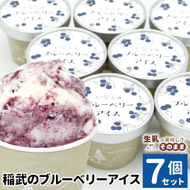 【ふるさと納税】《1週間以内に発送！》無農薬！除草剤不使用 30品種をブレンドした 稲武のブルーベリー アイス 7個入り80ml 生乳 ブルーベリー ソース ソフトクリーム アイスクリーム アイス ブルーベリーアイス フルーツ スイーツ 人気 5000円 5000円以内