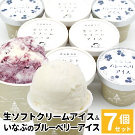 【ふるさと納税】生ソフトクリーム＆稲武のブルーベリー 7個入り80ml 生乳 ブルーベリー ソース ソフトクリーム 無農薬 スイーツ 果物 マーブルアイス 人気 ギフト 5000円 5000円以内 5,000円