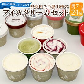 【ふるさと納税】根羽村 ご当地6種のアイスクリームセット 7個 16個 24個 生ソフトクリームアイス バニラアイス 西尾抹茶 抹茶 りんご 紅ほっぺ いちご 苺アイス ブルーベリー フレーバー 詰め合わせ 5,000円 10,000円 13,000