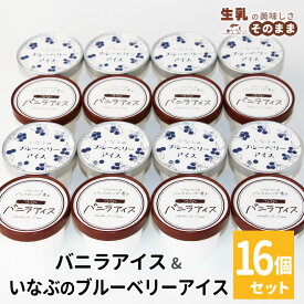 【ふるさと納税】2026年7月1日～寄付金額変更★〈スピード発送〉マダガスカル産バニラビーンズ香る バニラアイス＆いなぶのブルーベリー 16個入り 80ml アイスクリーム 詰め合わせ 即日発送 アイス ギフト ソフトクリーム 無農薬 果物 ミルク 長野県 根羽村 10000円