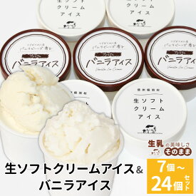 【ふるさと納税】2026年7月1日～寄付金額変更★生ソフトクリーム＆バニラアイス 7個 16個 24個 食べ比べ 着色料不使用 80ml アイスクリーム 詰め合わせ 即日発送 アイス ギフト バニラ ミルク ご当地アイス 根羽村 ネバーランド ランキング 入賞 5000円 10000円 10,000円