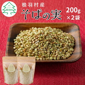 【ふるさと納税】純国産 無添加 信州根羽村産 そばの実 400g (200g×2袋) むき実 スーパーフード ダイエット 健康 5000円 5000円以内