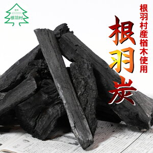 yӂ邳Ɣ[ŁzBBQɂ߁IMBHY ̒Y 3kg 5000~ 5,000~ 5~