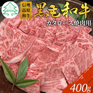 yӂ邳Ɣ[ŁzMBa ēp 400g (J^[Xjē J^[X ē o[xL[ Y јa   ؂藎Ƃ MB a 10000~ 10,000~
