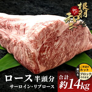 yӂ邳Ɣ[Łzʌ聚Ha јa [XubN  14kg T[C u[X ubN    Y j p[eB Xe[L ē BBQ ~ 