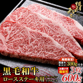 【ふるさと納税】期間限定 国産牛スジ付き★お届け月が選べる◎1枚ずつ個包装 根羽こだわり和牛 ロースステーキ用 (サーロイン・リブロース) 3枚 600g (200g×3) 国産 黒毛和牛 牛肉 牛 和牛 ステーキ 和牛 サーロインステーキ リブロース 20000円 20,000円 2万円