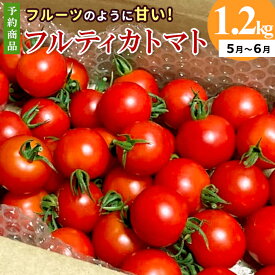 【ふるさと納税】【先行予約】2026年5月～6月発送★フルーツのように甘い フルティカトマト 1.2kg 令和8年度産 割れ保障付 数量限定 トマト 定番 人気 高評価 中玉 フルーツ フルーツトマト トマト ミニトマト オンライン申請 5000円 5,000円