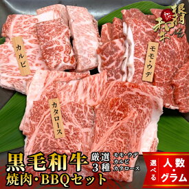 【ふるさと納税】《曜日・時間帯指定可》根羽こだわり和牛 内容量が選べる 黒毛和牛焼肉・BBQセット 450g～1050g 2～3人前キャンプ バラ肉 モモ肉 盛り合わせ 厳選 牛肉 和牛 焼き肉 バーベキュー BBQ キャンプ カルビ カタロース 大人数 国産牛