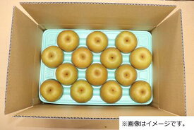 【ふるさと納税】下條産『なし　幸水約5kg』