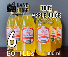 【ふるさと納税】100％ストレートりんごジュース　1L×6本セット