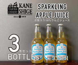 【ふるさと納税】りんご果汁100％使用！ 炭酸りんごジュース 330ml×3本セット