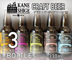 【ふるさと納税】超絶フルーティなクラフトビールアソート 330ml×3本セット