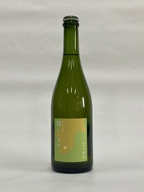 【ふるさと納税】南信州 梨シードル　750ml×1本セット