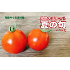【ふるさと納税】トマトスープやケチャップに!　　　　　　売木村産　完熟トマト「夏の旬」2.5kg【1322888】