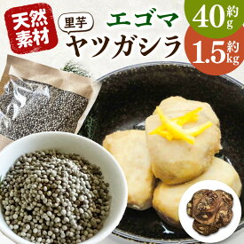 【ふるさと納税】先行受付 伝統 の いも 天龍村 坂部 地区 の 八つ頭 と エゴマ の セット | 里芋 さといも おせち料理 珍しい えごま みそ 味噌 長野県 南信州 天龍 てんりゅう