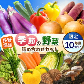 【ふるさと納税】【定期便5回】季節の野菜セット | 詰め合わせ セット 野菜 野菜セット 農産物 野菜類 詰合せ セット 長野県 天龍 てんりゅう