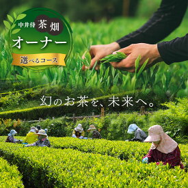 【ふるさと納税】 「 未来 の 子供 たちにこの 美しい 風景 を 残したい ！ 」 中井侍 の 茶畑 オーナー Aコース （ 2 ・ 5 ・ 8 ・ 11月 ） ・ Bコース （ 5 ・ 11月 ）計 2回 or 4回 お届け お茶 苗植え