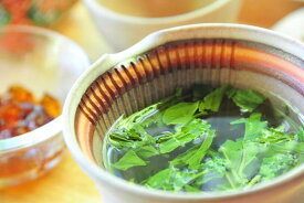 【ふるさと納税】 シングルオリジン手摘みのお茶 中井侍銘茶【定期便3回 】毎月お届け | お茶 茶葉 日本茶 緑茶 国産 手摘み 幻のお茶 浅蒸し茶 中井侍銘茶 秘境 長野県 南信州 天龍村