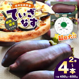 【ふるさと納税】【期間限定☆レシピ付】先行予約 令和8年8月上旬 順次発送 信州伝統野菜 天龍村産ていざなす 2本 or 4本 セット ｜伝統野菜 野菜 なす ナス 茄子 夏野菜 ていざなす 長野県 天龍村