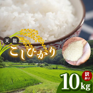 【ふるさと納税】 新米 訳あり こしひかり 白米 10kg 令和7年産 先行予約 10月下旬より順次発送予定 | 訳あり 天龍村 農家さん 応援 米 ! 天龍 白米 こしひかり 10kg 食品 米 こめ 白米 天龍村産