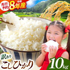 【ふるさと納税】訳あり こしひかり 白米 10kg 令和8年産 先行予約 10月下旬より順次発送予定 | 訳あり 天龍村 農家さん 応援 米 ! 天龍 白米 こしひかり 10kg 食品 米 こめ 白米 天龍村産 こしひかり 長野県 南信州 天龍村