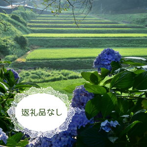 yӂ邳Ɣ[Łzוւ̊tyԗiȂz