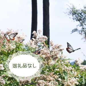 yӂ邳Ɣ[Łzוւ̂ӂ邳Ɣ[ŁyԗiȂz