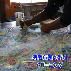 【ふるさと納税】U02 羽毛布団丸洗いクリーニング　防ダニ加工付き（シングル2枚又はダブル1枚）