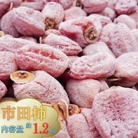 【ふるさと納税】A01 市田柿 徳用約1.2kg 大袋 干柿 干し柿 1.2kg