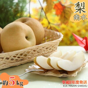 yӂ邳Ɣ[Łzyߘa8Nxs\iz8-J09  쐅 y۔EDz5kg 5kg x ZT[ 9 MB ؑ