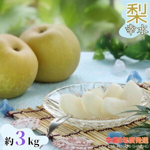 yӂ邳Ɣ[Łzyߘa8Nxs\iz8-J04  K y۔EDz3kg 3kg x ZT[ 9 8 MB ؑ