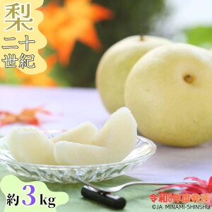 yӂ邳Ɣ[Łzyߘa8Nxs\iz8-J33 yMBYz20I ۔ 3kg@8ʁ`10 Ȃ  a@\I 20I MB ݂ȂݐMB 