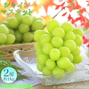 yӂ邳Ɣ[Łzyߘa8Nxs\iz8-J29 VC}XJbg Gi 1kg(2[) uhE Ԃǂ VC}XJbg Gi 2[ 1kg