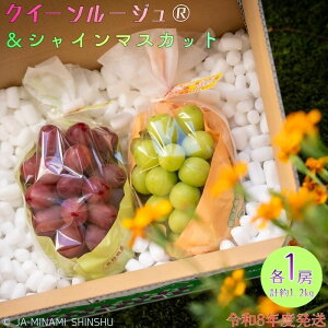 yӂ邳Ɣ[Łzyߘa8Nxs\iz8-J32 NC[[WRVC}XJbg Gi 1.2kg (e1[)@NC[[W VC}XJbg 2 1[ 