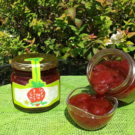 【ふるさと納税】7-G02 果実コロコロいちごジャム(大2個) 果肉 ゴロゴロ 260g 2個入り ジャム いちごジャム 苺 いちご 添加物不使用 喬木村